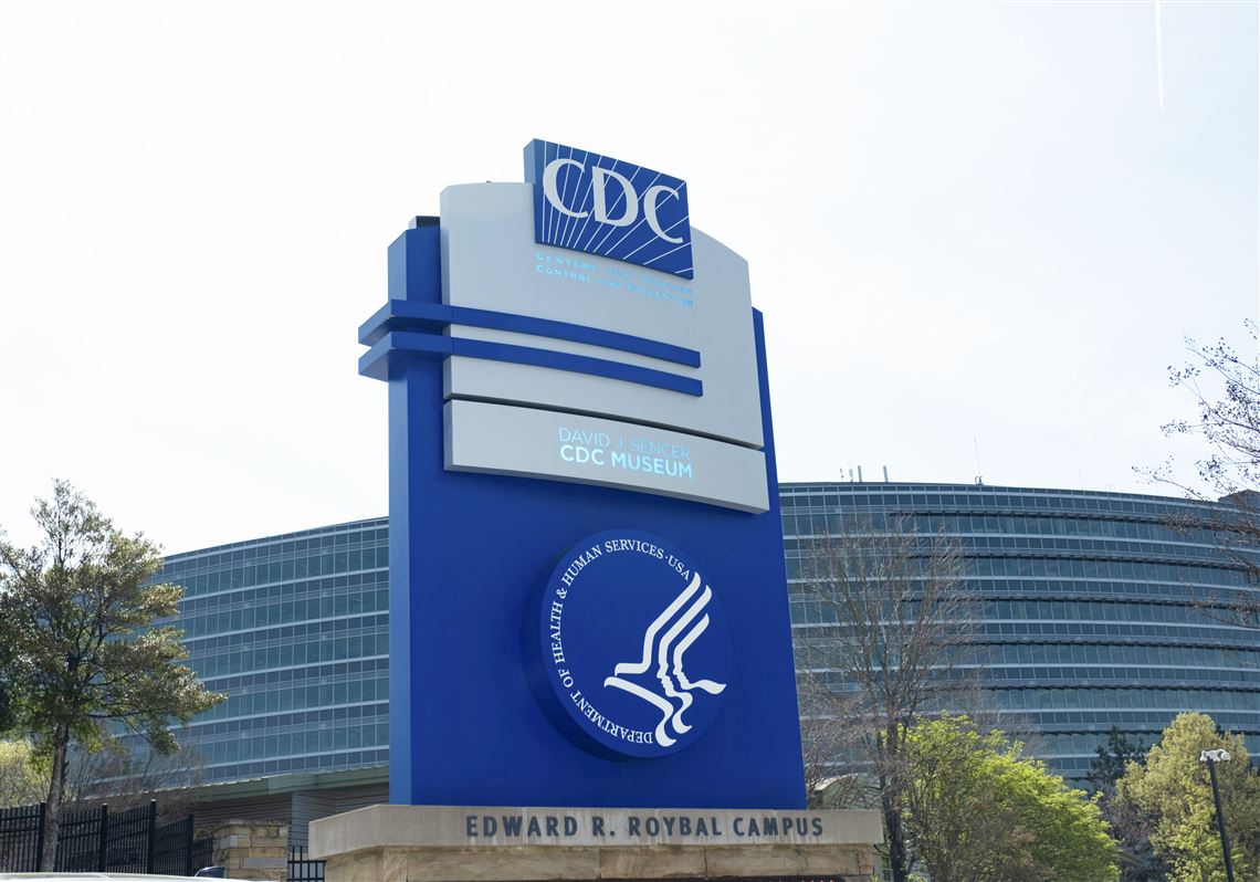 What to know about Candida auris, a fungus contaminating healthcare spaces