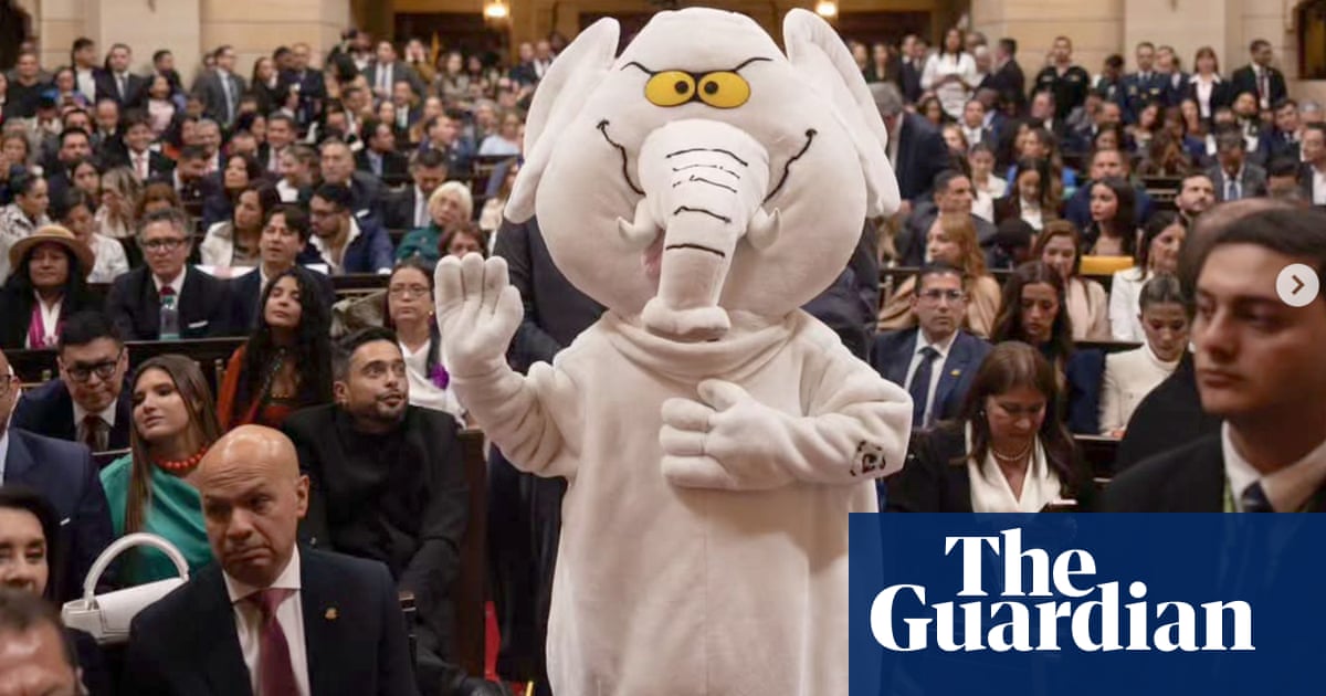 White elephant in the room: Colombia swears in costumed anti-corruption activist as senator | Colombia