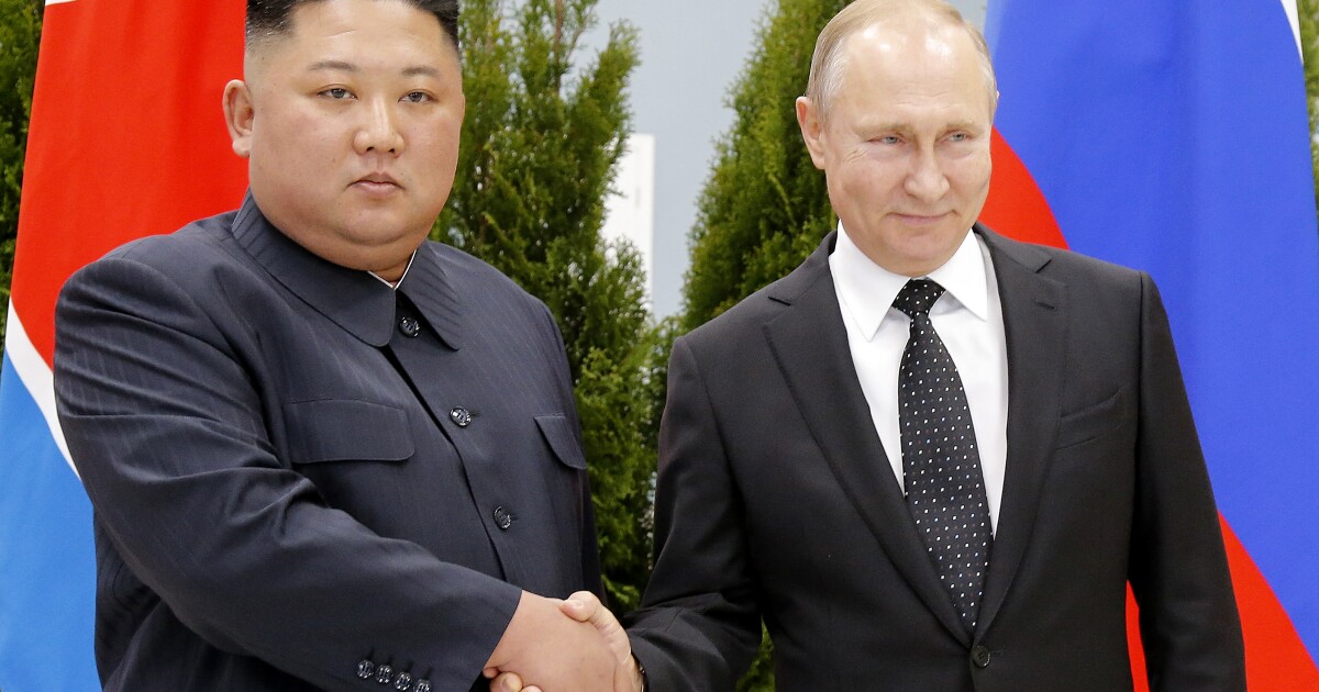 Zelenskyy says a North Korean missile fired by Russia killed a family in Ukraine