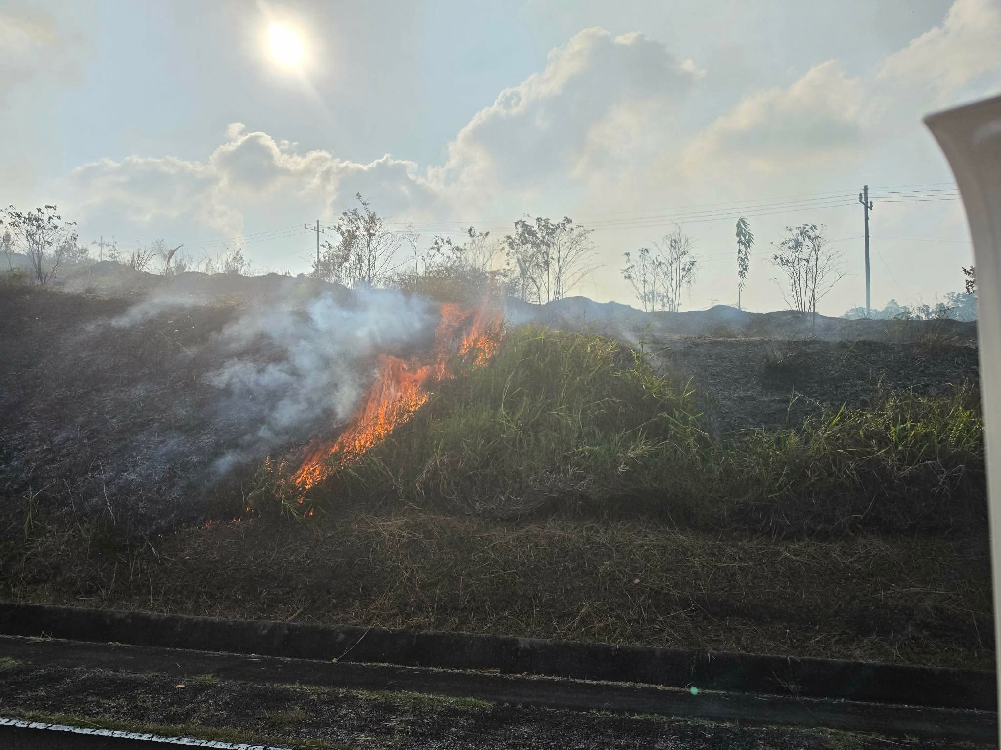 16 Brush Fires in August Strain Palau’s Firefighting Resources Amid Severe Dry Weather