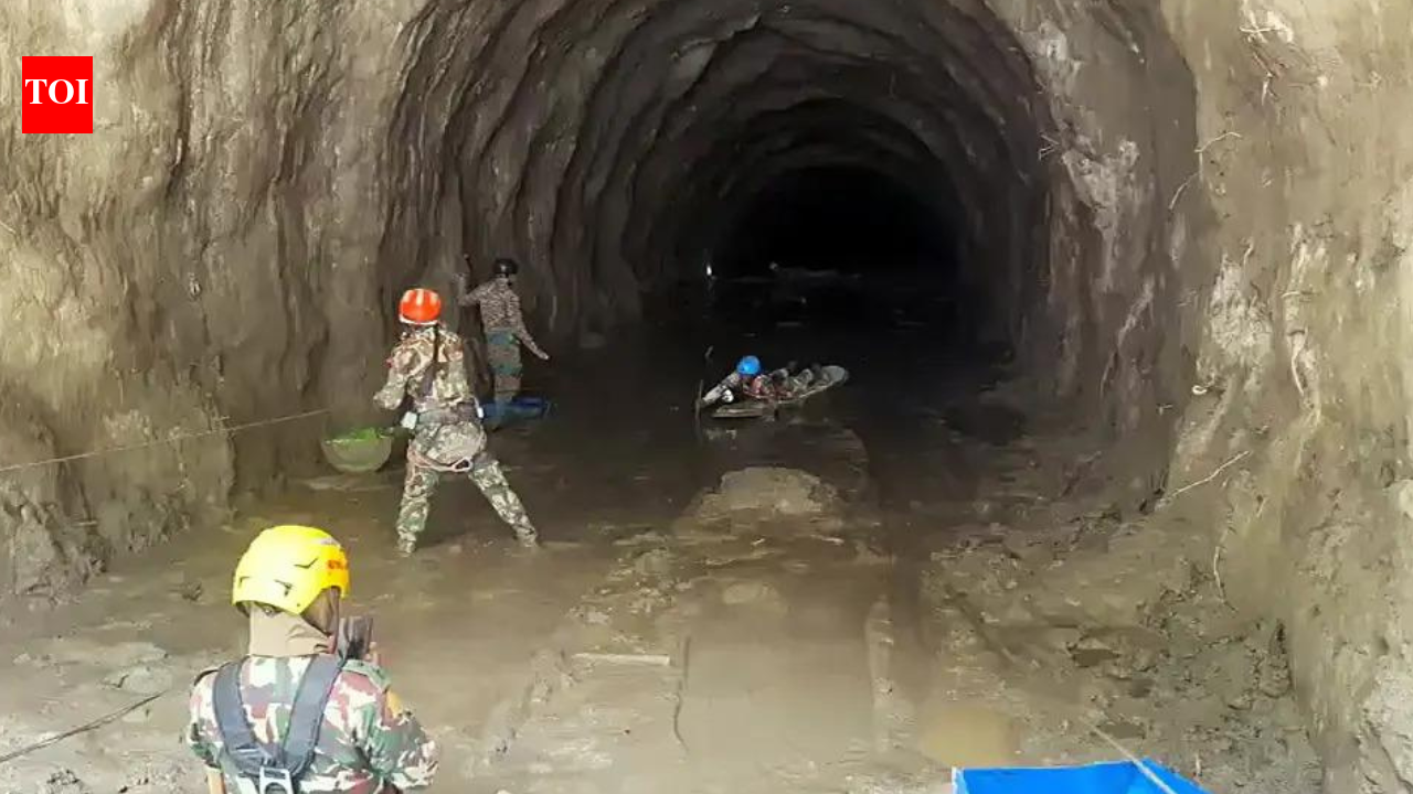 '23 Silkyara 'rat miners' offer to join Nepal tunnel rescue | India News