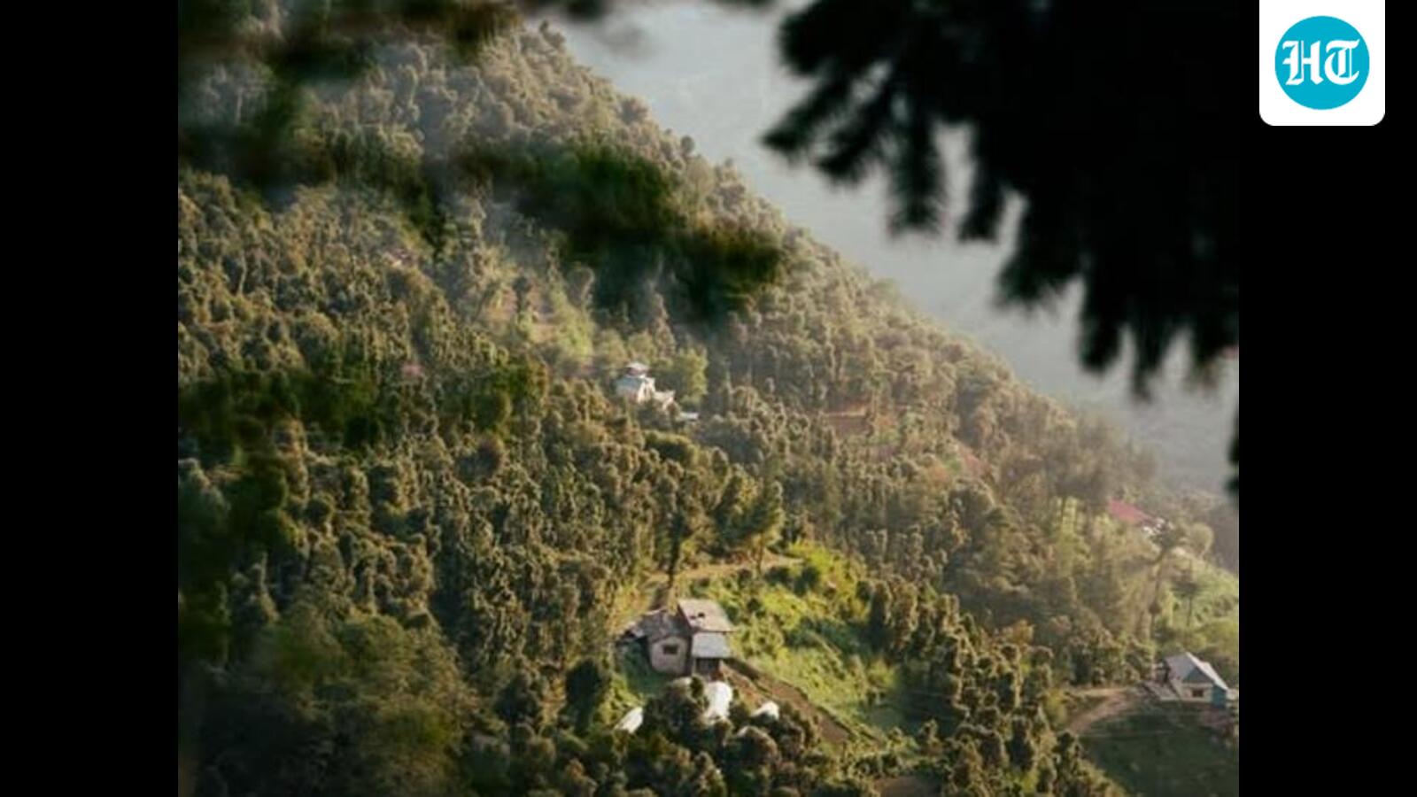 4 stranded pilgrims rescued from Churdhar forest in 7-hour overnight operation
