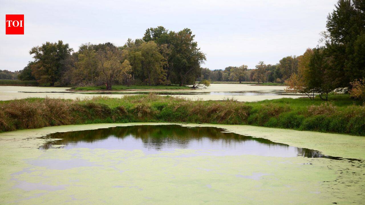 A Wisconsin farming family fought a 2016 tax change as nearly 2,000 floodplain acres became harder to farm; 10 years later, the land is being permanently protected