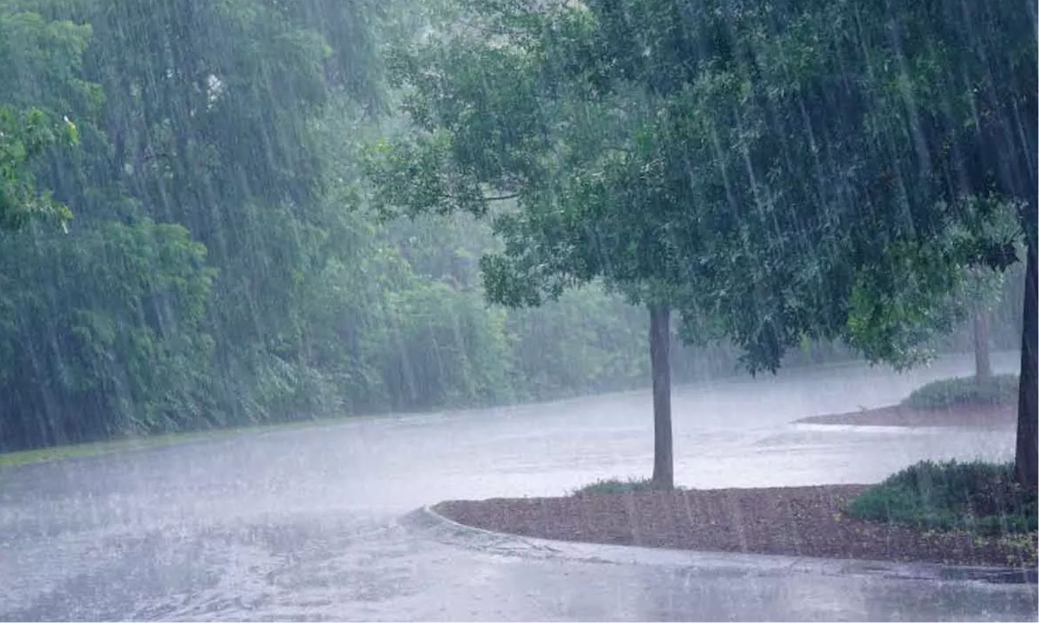 AP, Telangana to receive rains amid cyclonic circulation in Bay of Bengal