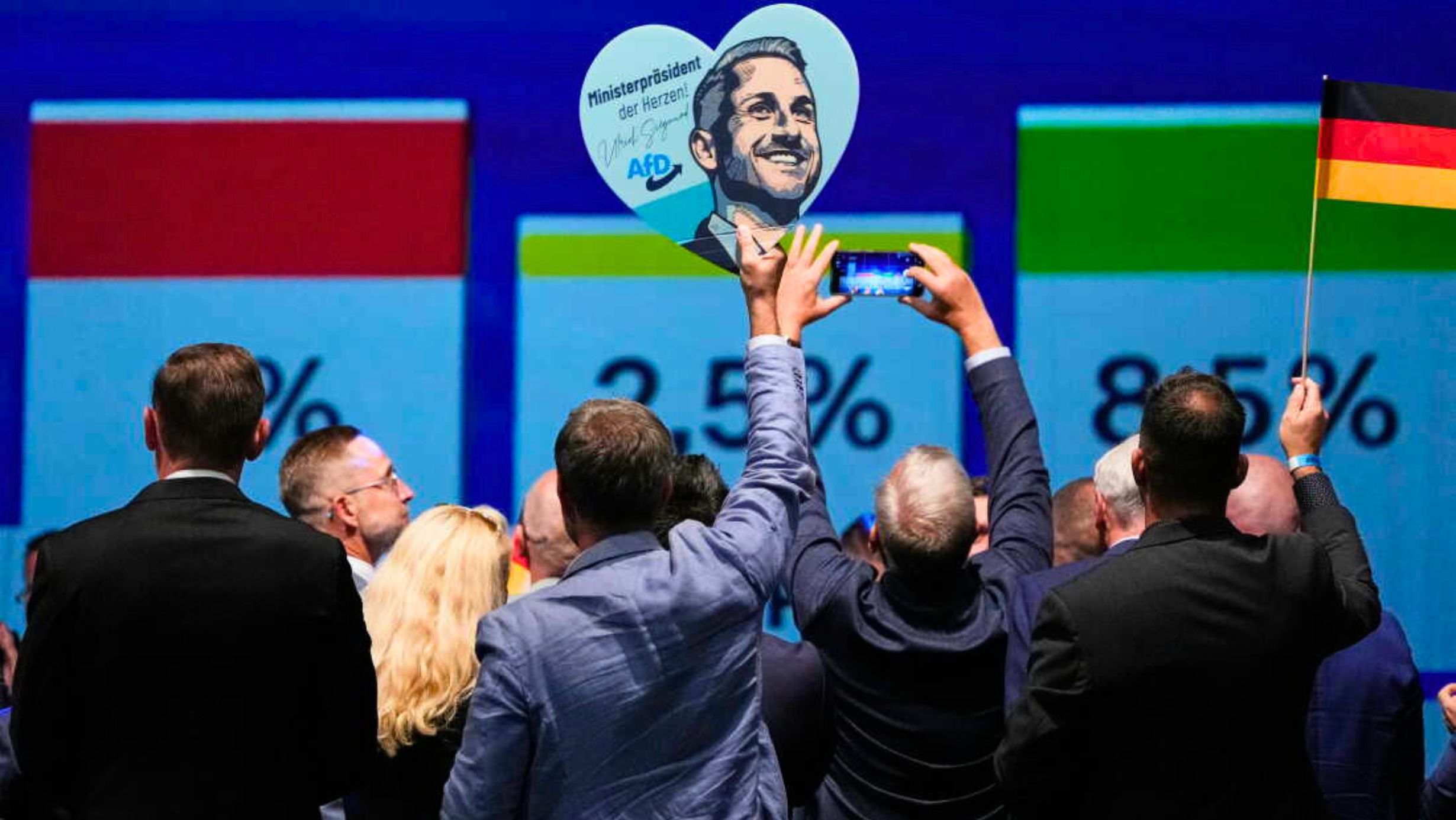 AfD Victory in Saxony-Anhalt Draws Mixed Reactions in Czechia