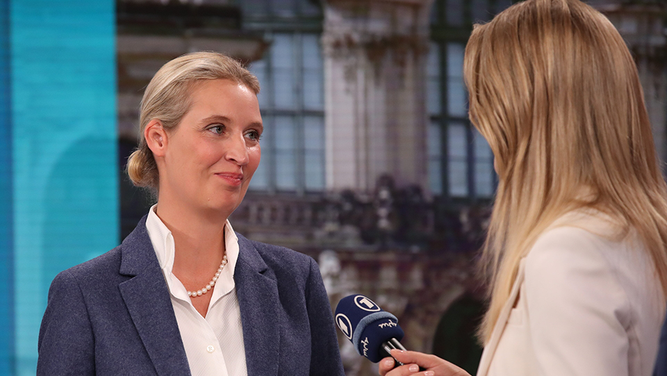 AfD top another state election, 'disaster' result for Merz