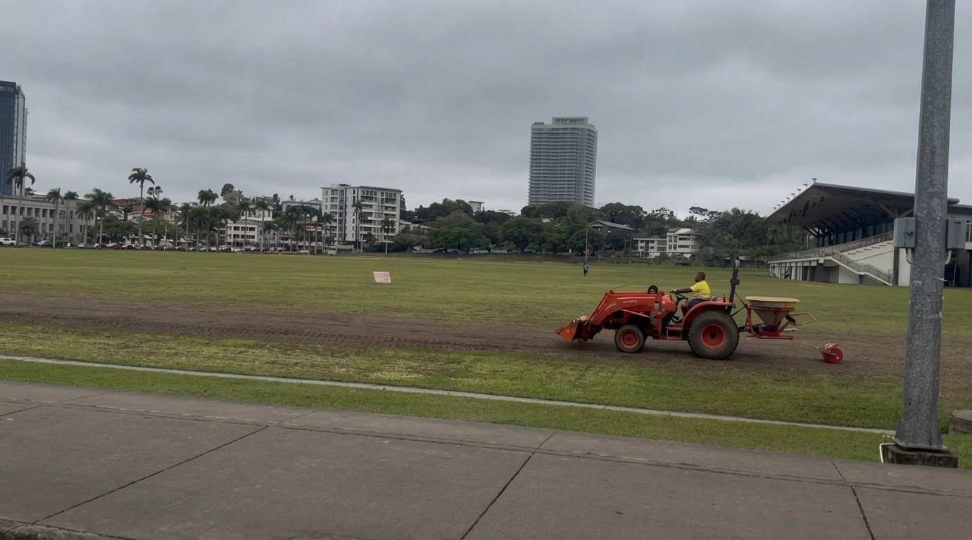 Albert Park rehabilitation works underway after Hibiscus Festival