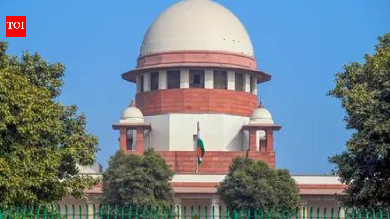 'All treated equally': SC on complainant's 'VVIP' charge against Rahul Gandhi | India News