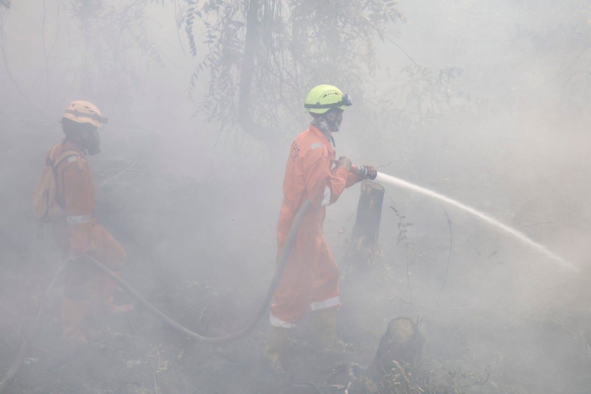 Almost 170 patients evacuated from psychiatric hospital threatened by spreading wildfires in Indonesia