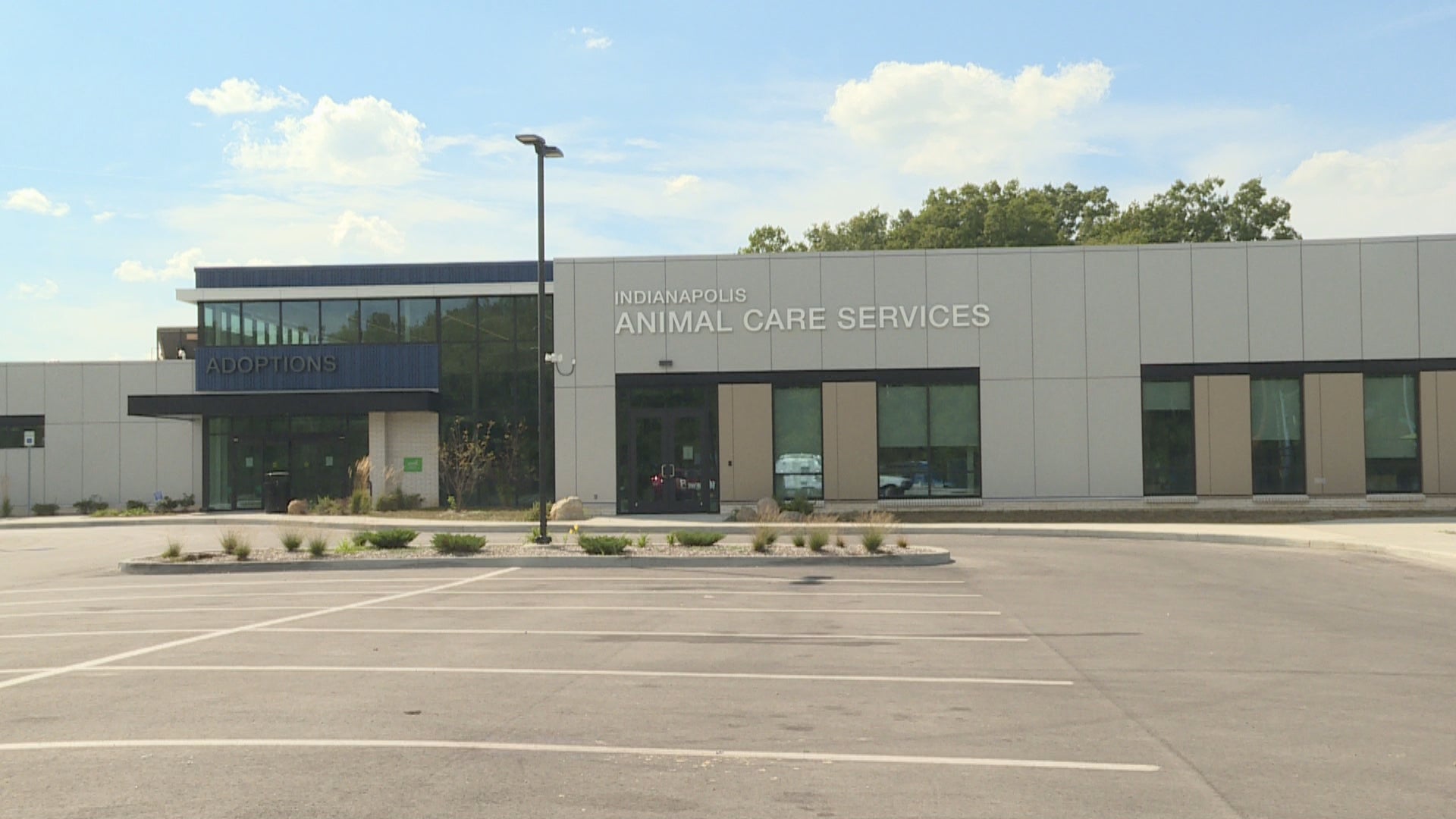 Animal Care Services requests $2 million more to hire staff, cover medical costs - Indianapolis News | Indiana Weather | Indiana Traffic