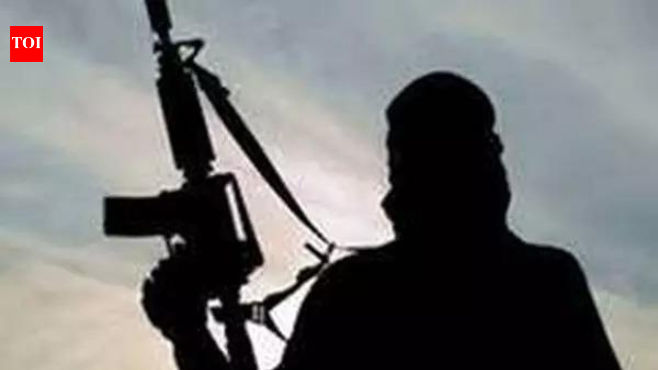 Army, CRPF, J&K police launch joint operation in J&K's Udhampur after input on suspicious movement | India News