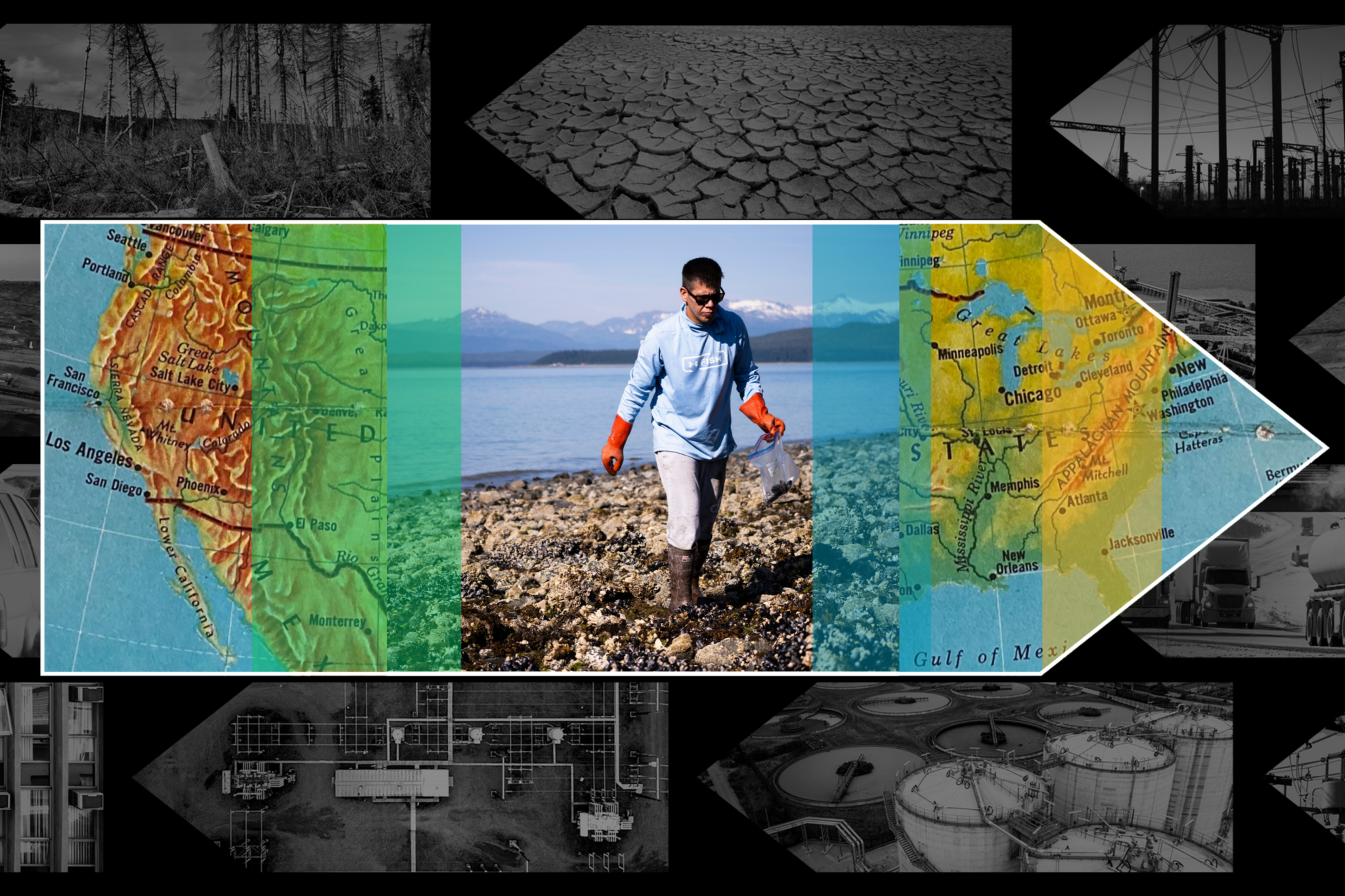 Meta Mesdag, owner of Salty Lady Seafood Company, inspects oyster cages exposed by low tide. (Chris Bentley/Here &amp; Now)