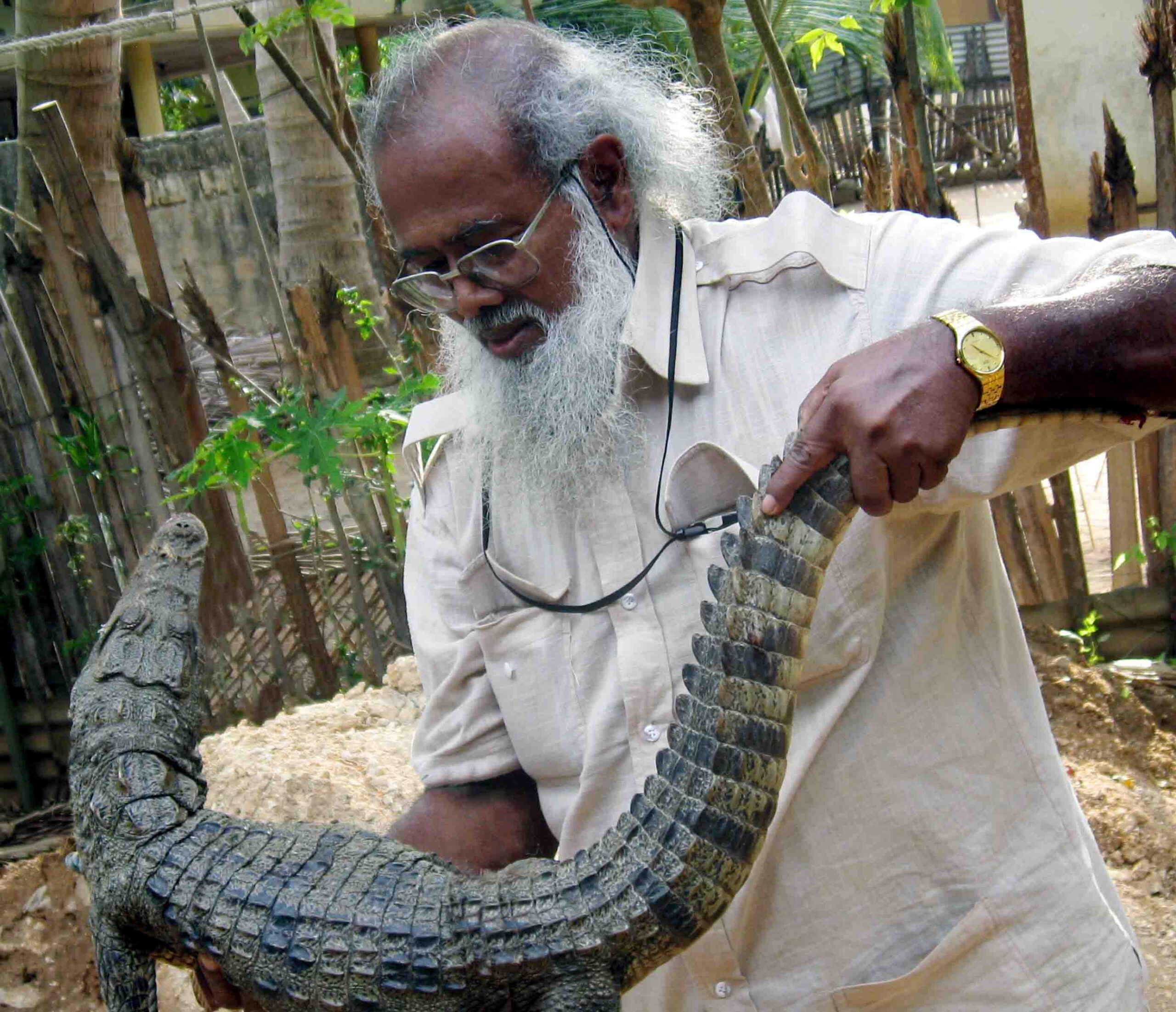 At 86, Sri Lanka's 'father of herpetology' inspires a new conservation generation