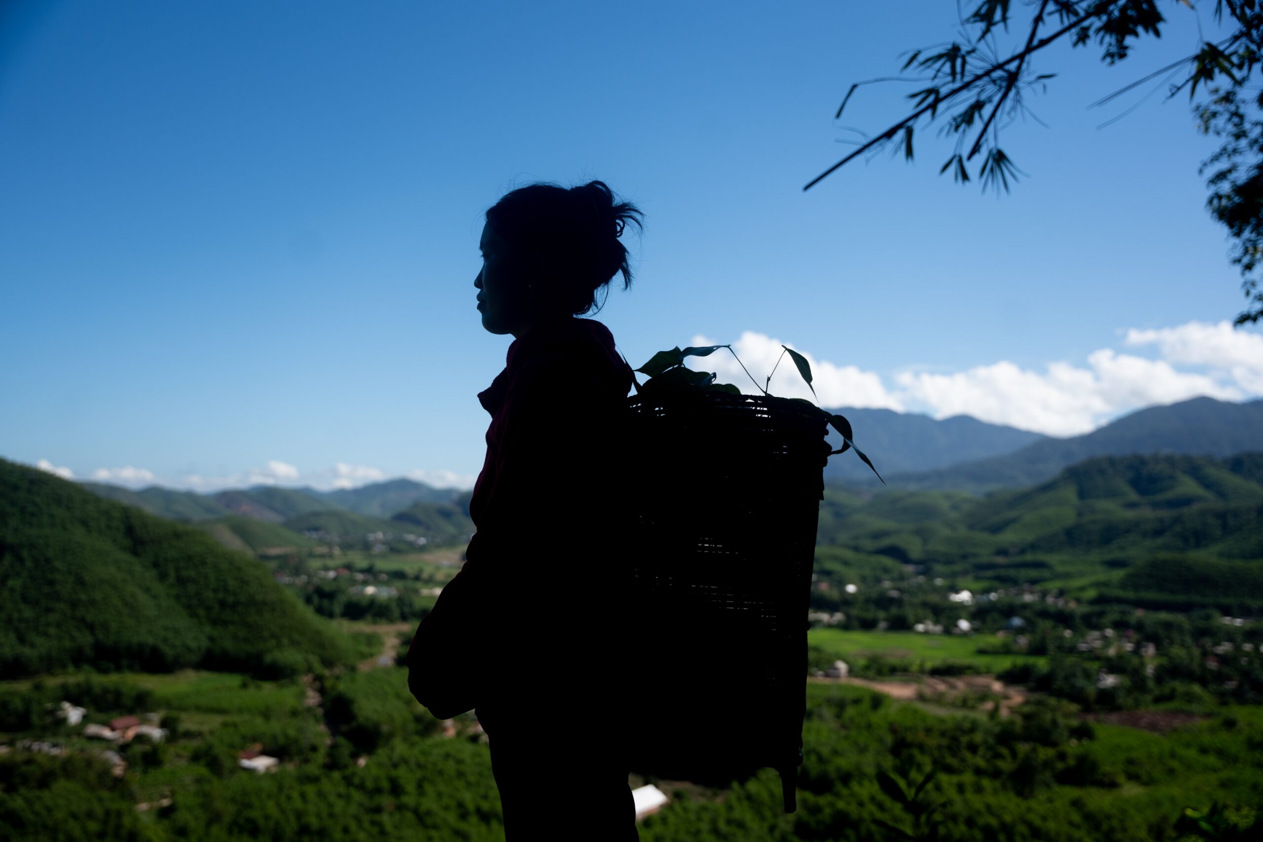 Biodiversity corridor payments boost household incomes in Vietnam’s Annamite mountains