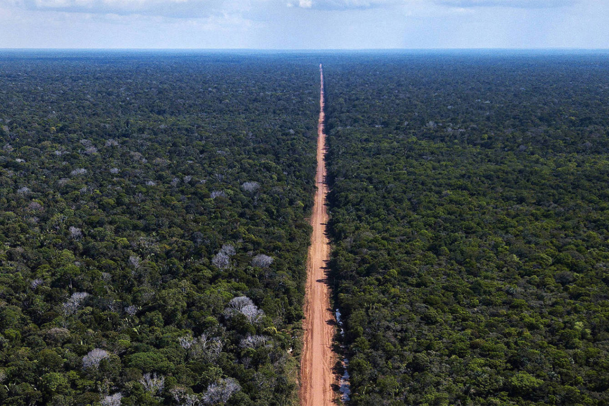 Brazil creates four Amazon reserves as plans to pave rainforest highway advance