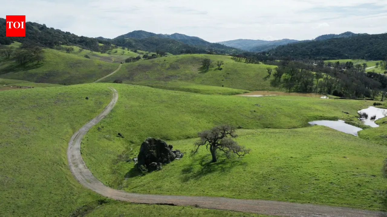California’s 1,921-acre Mead Ranch is now protected as a $24 million acquisition strengthens wildlife corridors around Coyote Valley | World News