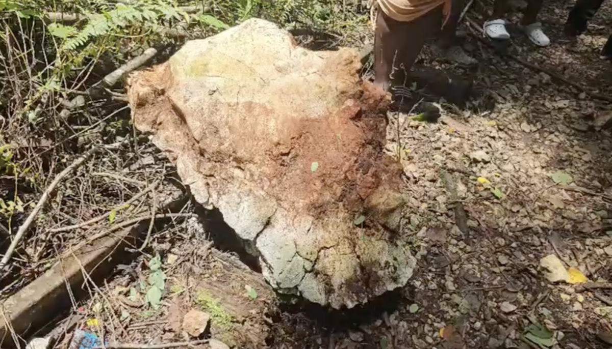 Child struck by boulder in St Elizabeth in a coma