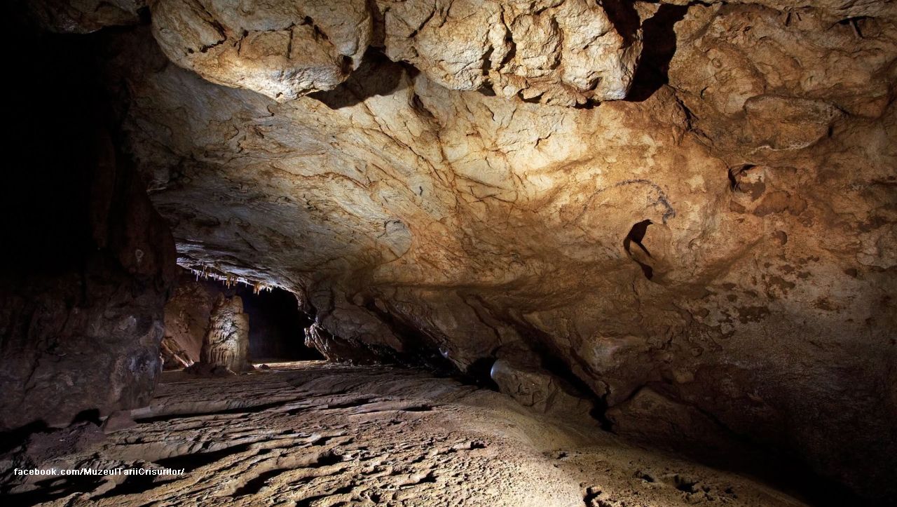 Coliboaia Cave, on the road to UNESCO recognition