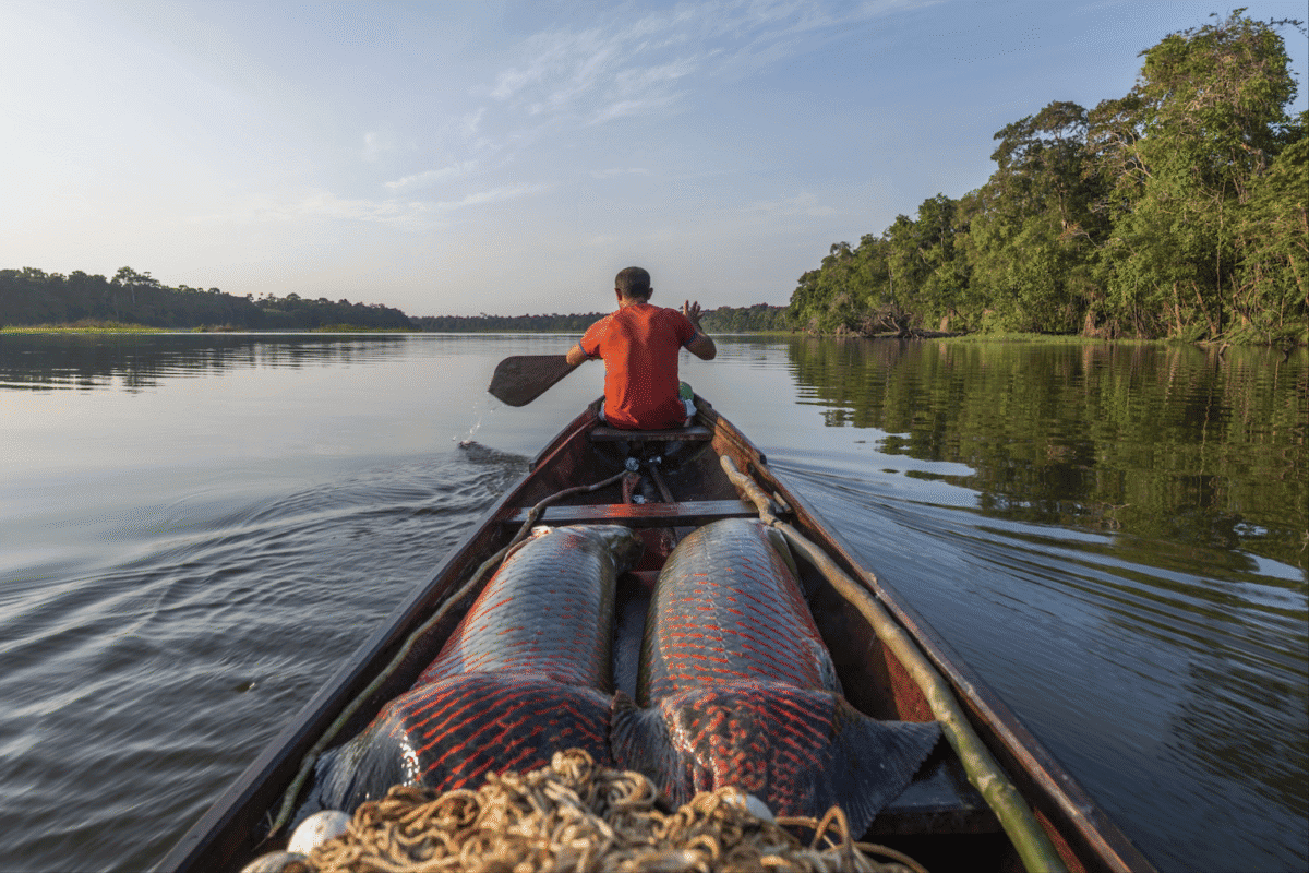 Community-based conservation is a good climate investment in Brazil & beyond (commentary)