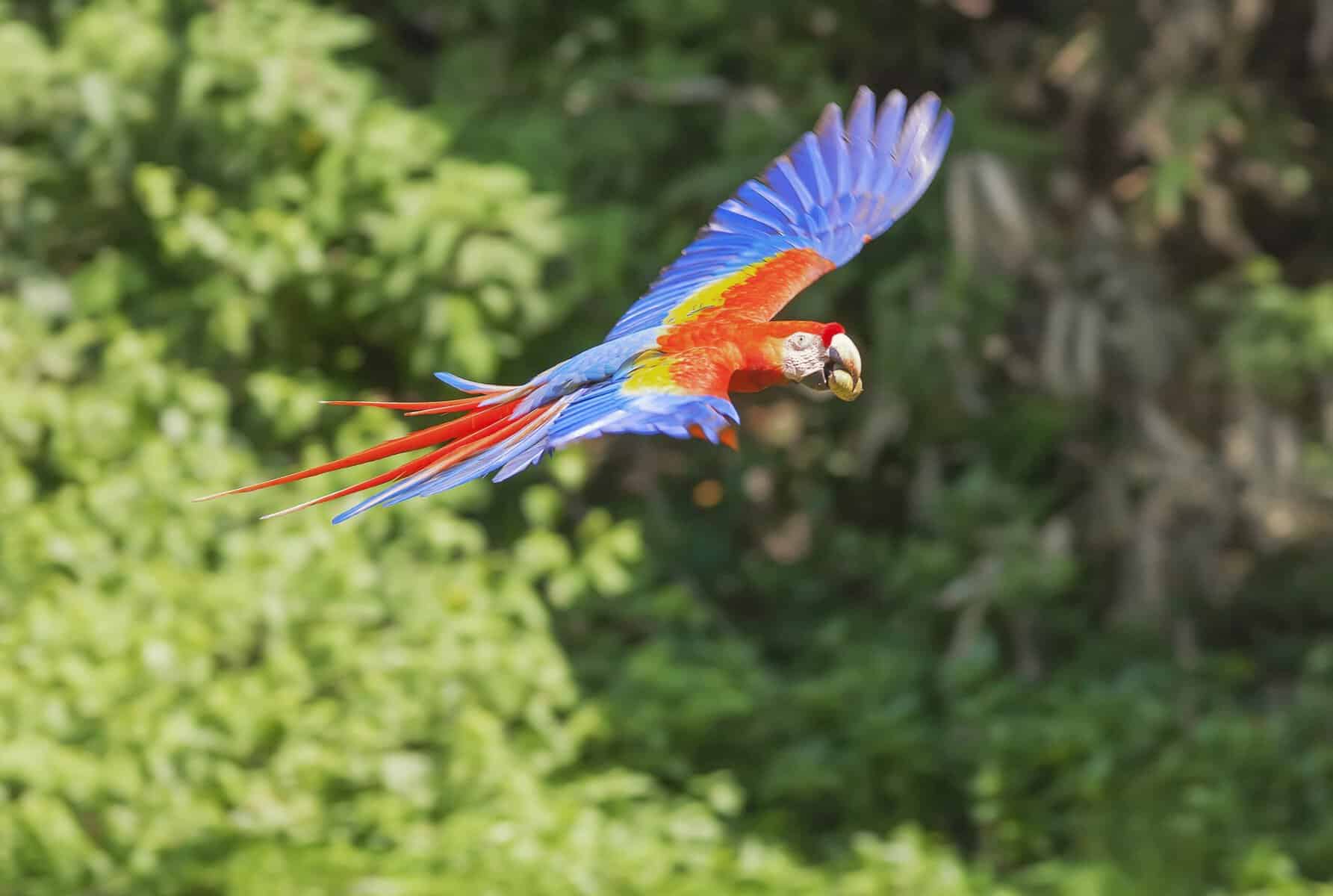 Costa Rica Travel