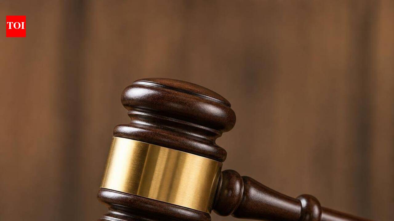 Custodial beating, molesting women is crime and not part of police duty: HC | Prayagraj News