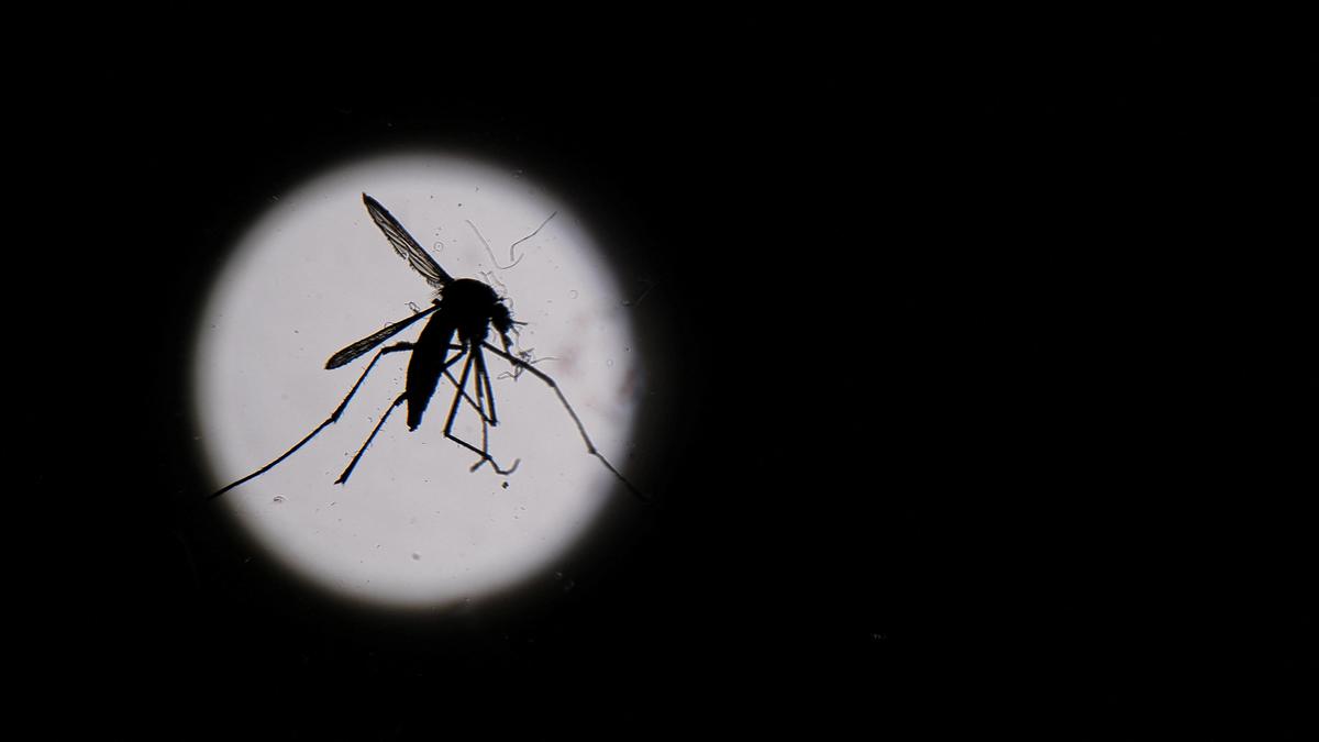 Dengue cases in West Bengal cross 4,000, seven dead; CM says situation under control