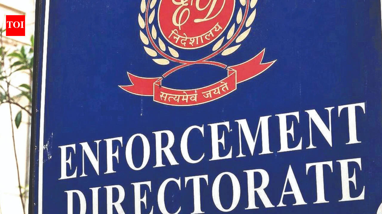 ED puts lens on IBC frauds, including excessive haircuts | India News