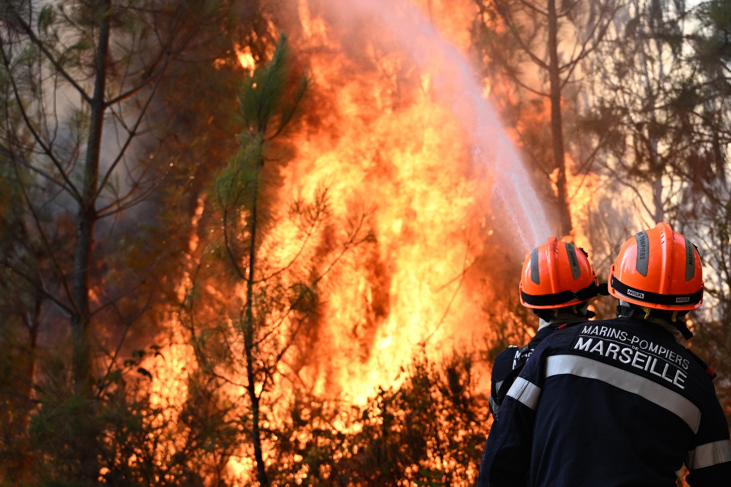 EU plans new firefighting fleet after deadly summer heat wave
