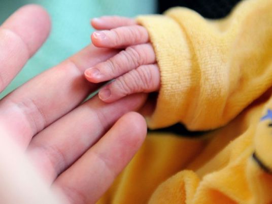 Egypt's rising cost of living drives birth rates down: CAPMAS report