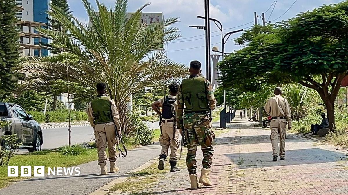 Four soldiers in green and beige military fatigues walk down a road with rifles by their sides. Their backs are to the camera. The road is lined with trees, including a palm tree
