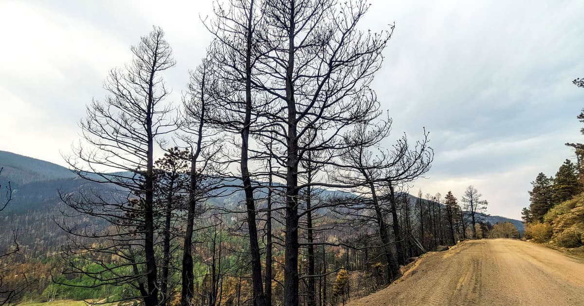 FEMA denies portion of Colorado’s disaster aid request