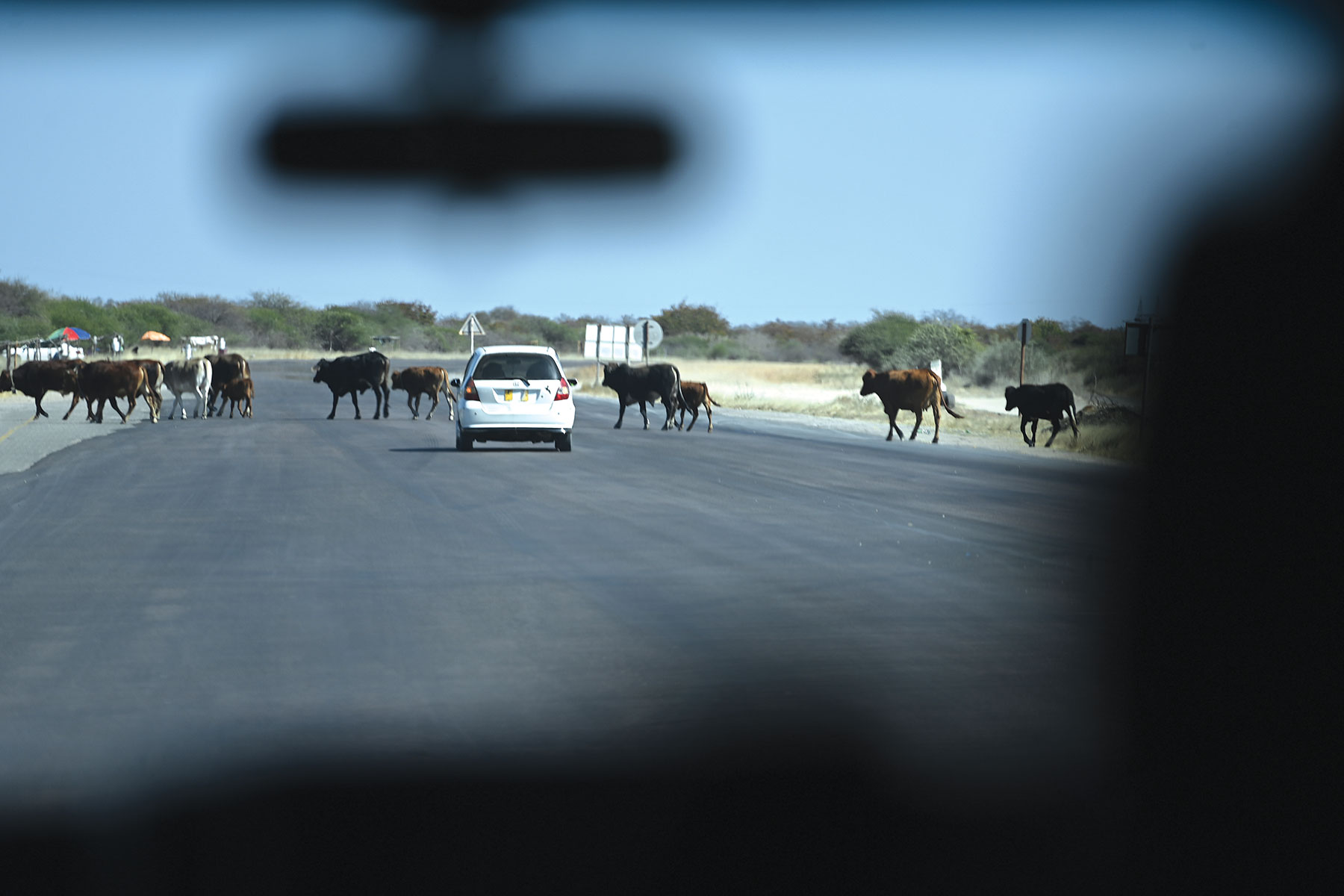 FMD outbreak escalates in Southern Region