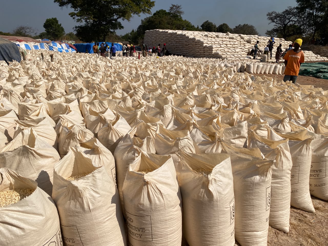 FRA claims maize purchase target exceeds 100 percent in Northern Province