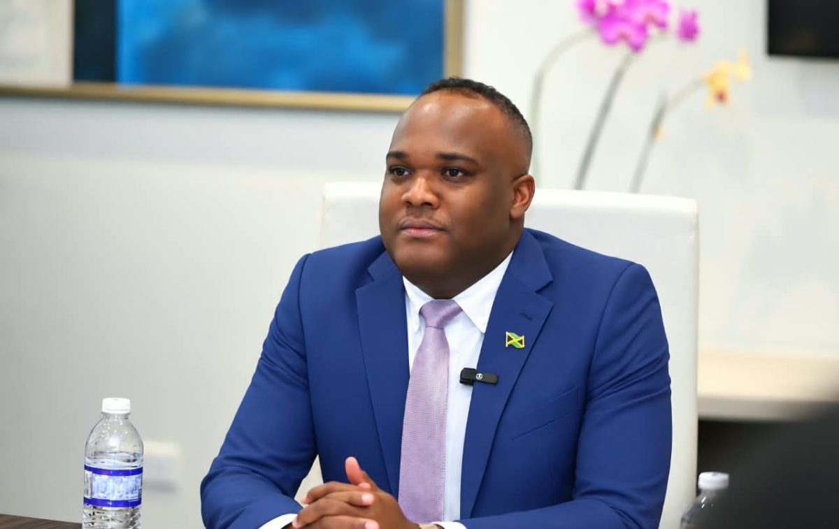 Fitz-Henley opposes calls to remove 15-year minimum gun penalty