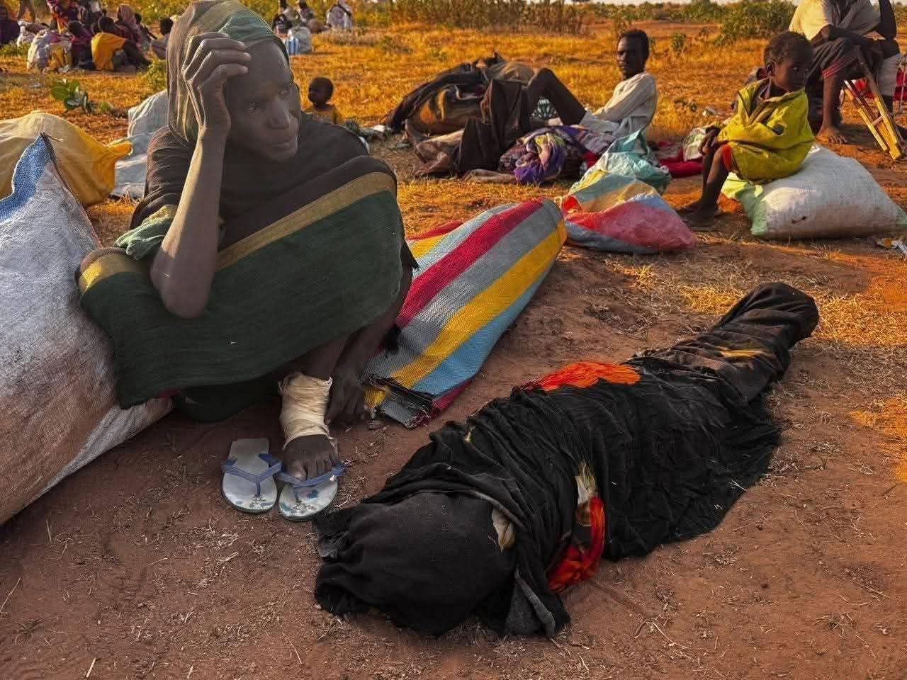 General Coordination for Displaced People warns of deepening food insecurity in Sudan
