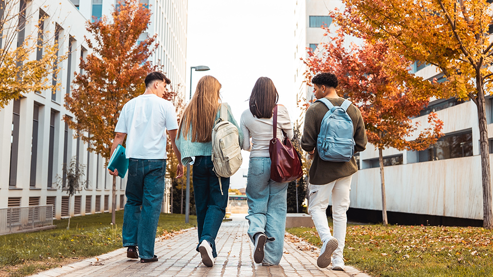 Govt urged to adopt student housing delivery as crisis deepens