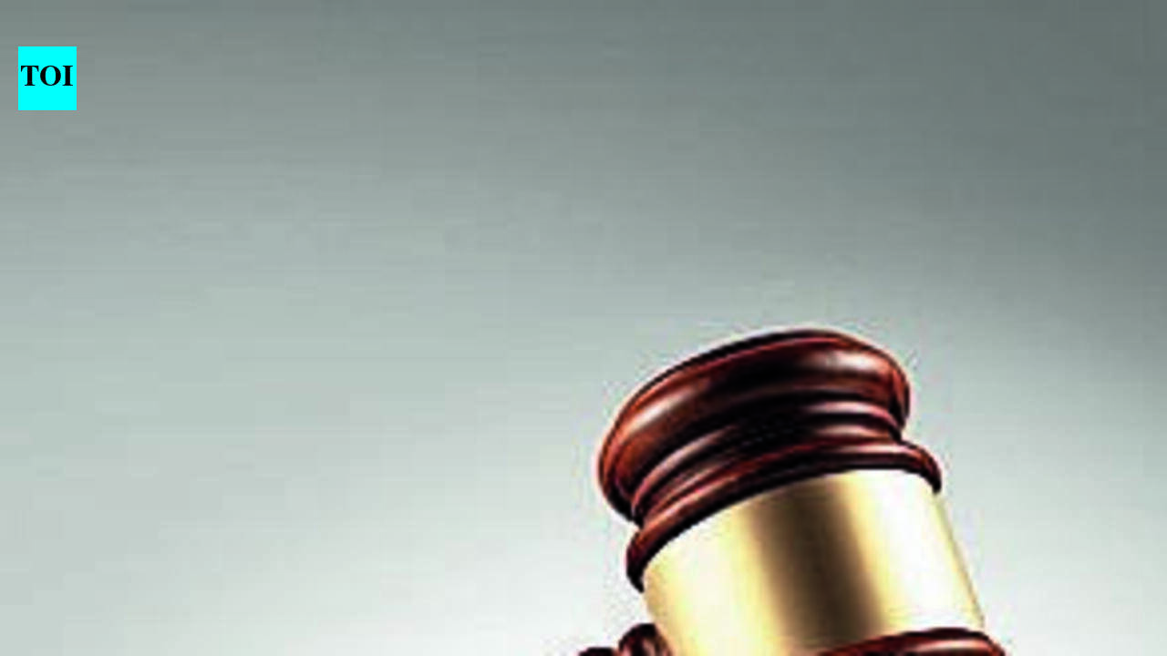 HC: Civil servants’ loyalty must be to Constitution, not political executive | Prayagraj News