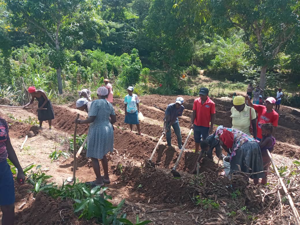 Haiti farmers seek voice in $47.9M agriculture project