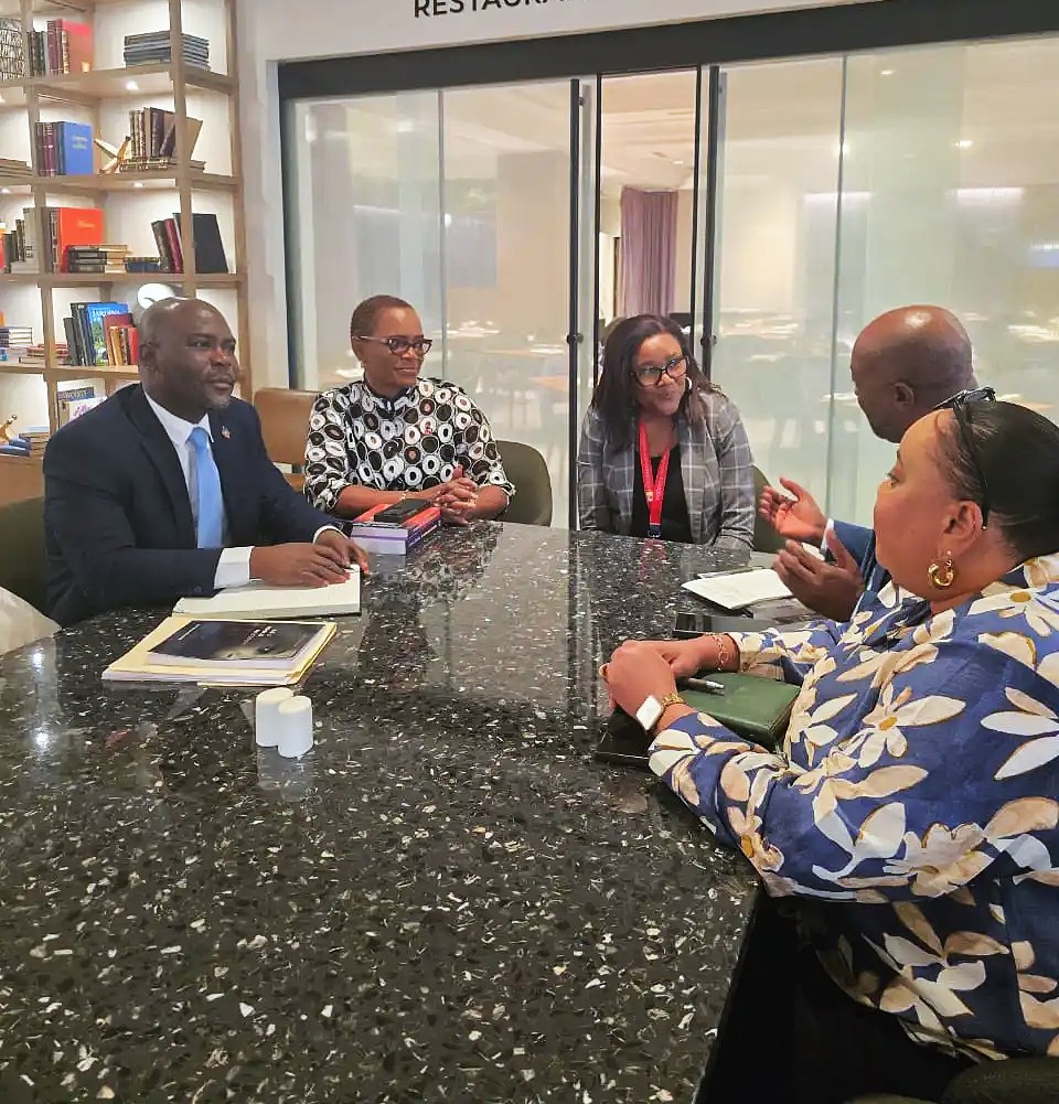 Haiti’s Provisional Electoral Council reshuffles leadership ahead of upcoming elections