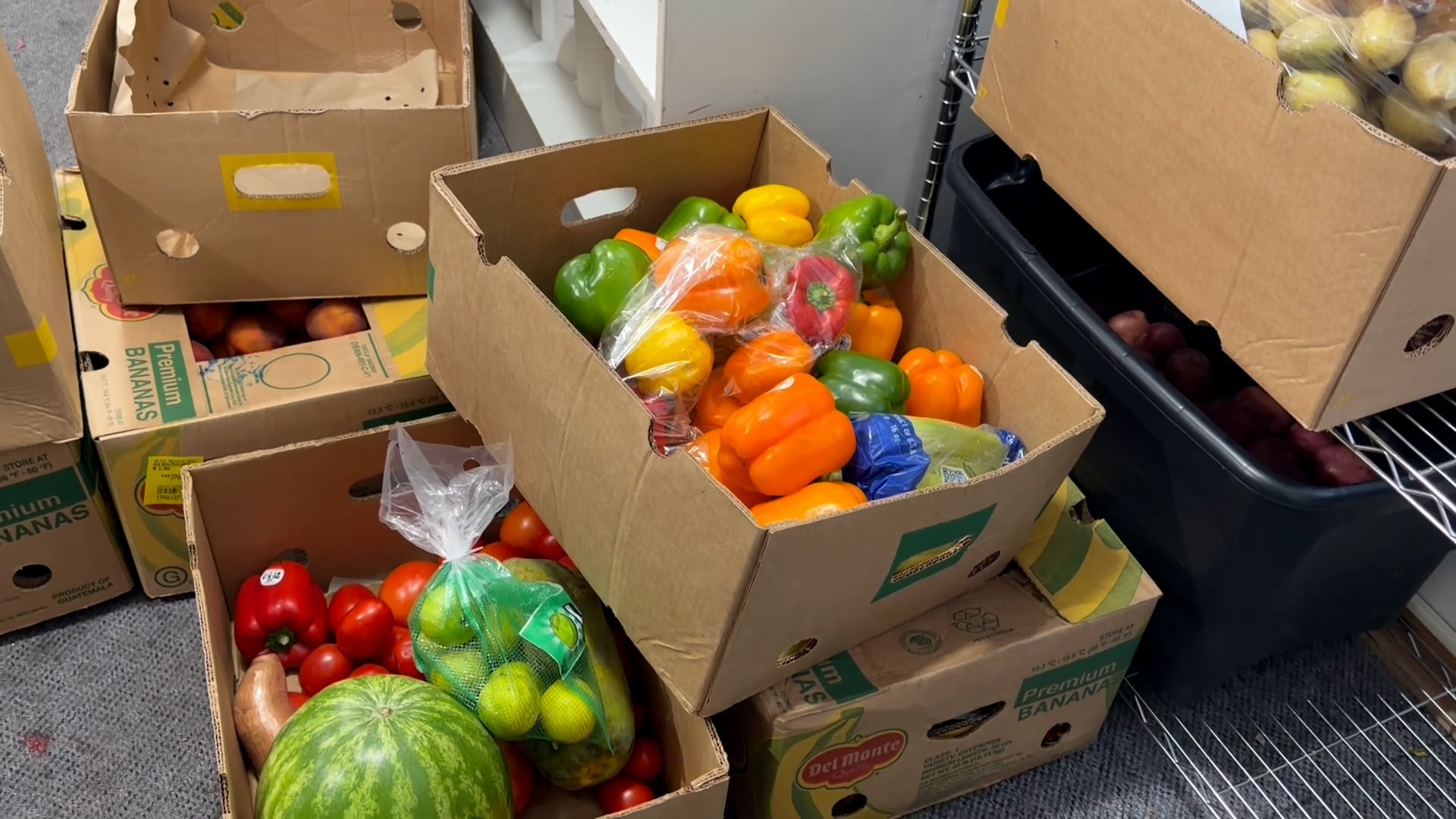 Harvest for Hunger initiative urging gardeners to donate extra produce to food pantries