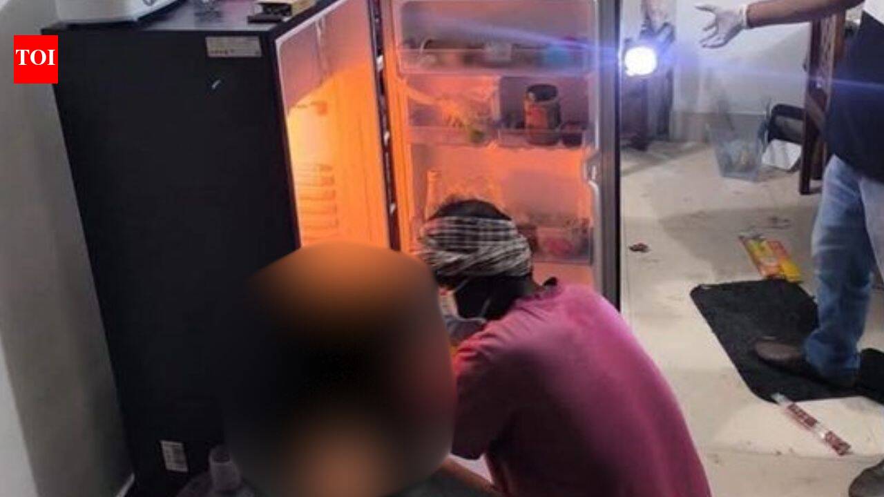 'Head in fridge, fingers cut off': Woman murdered in Guwahati flat; husband surrenders | Guwahati News
