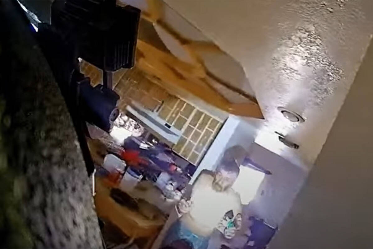 A still photo from a video provided by the Henderson Police Department shows Bruce Ayer, 71, in ...
