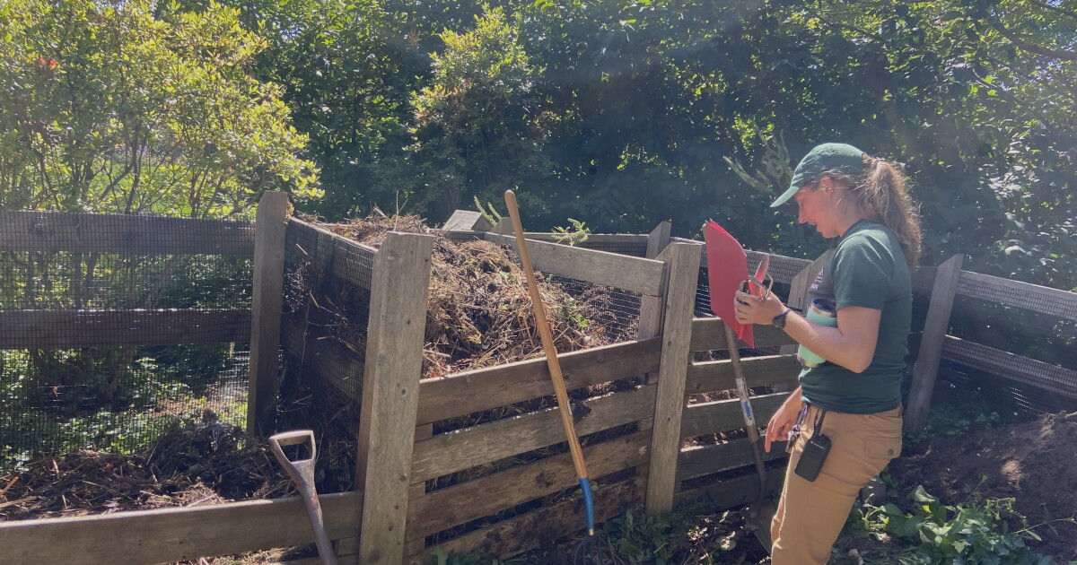 Homegrown NH: Make the most of your compost