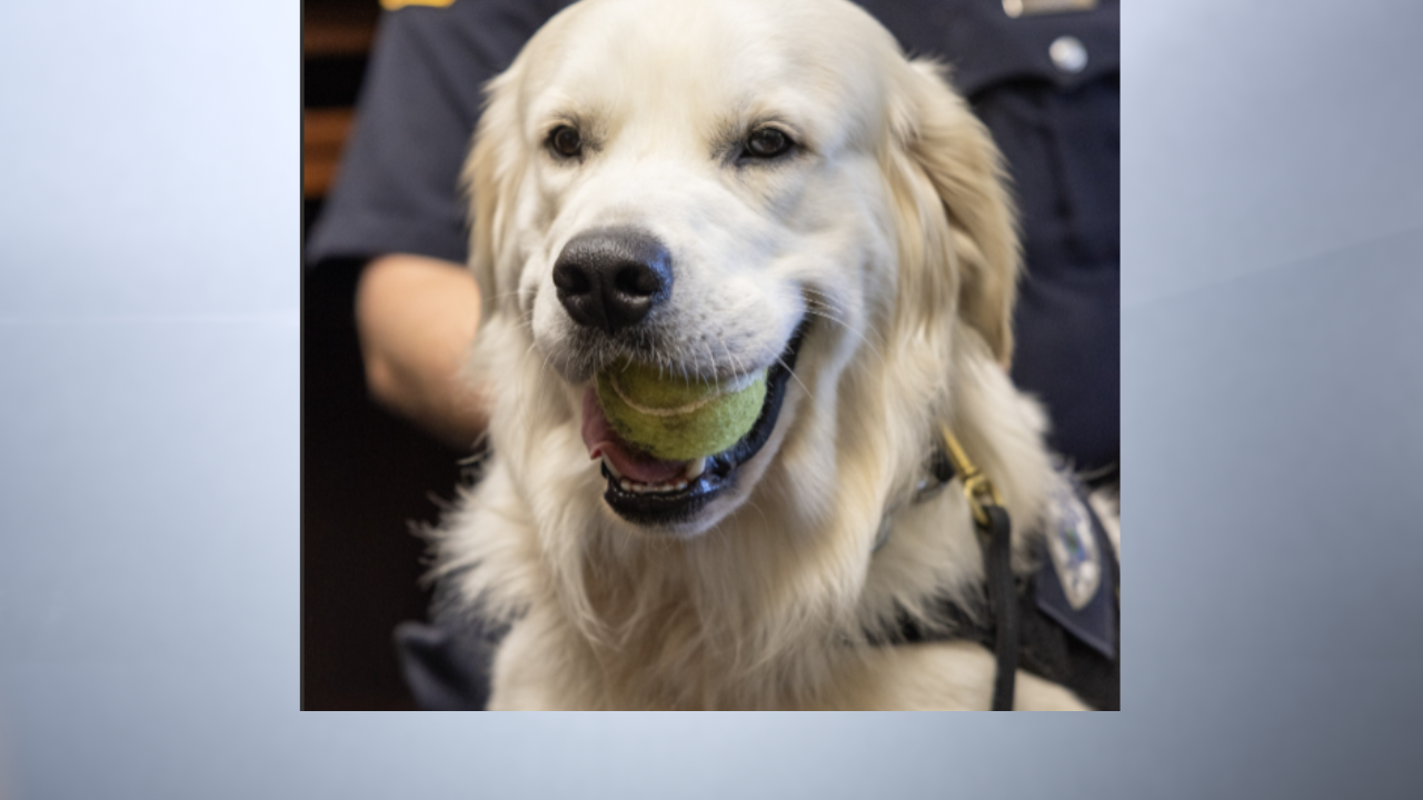 Huntington police introduce canine Watson to support county school students