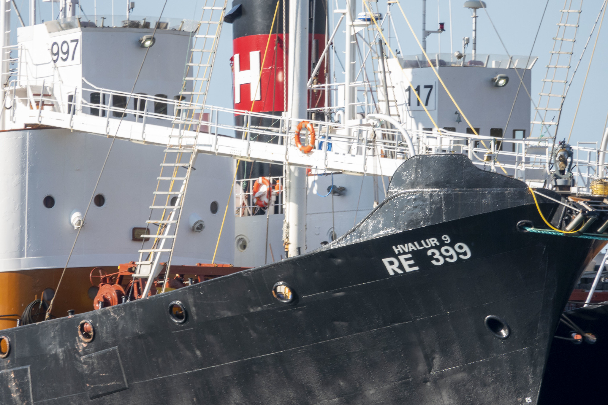 Iceland's only whaling company unconcerned about potential ban