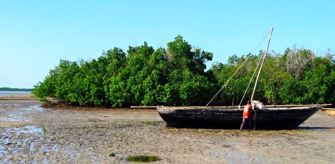 In Tanzania, the sea is moving inland and taking livelihoods with it