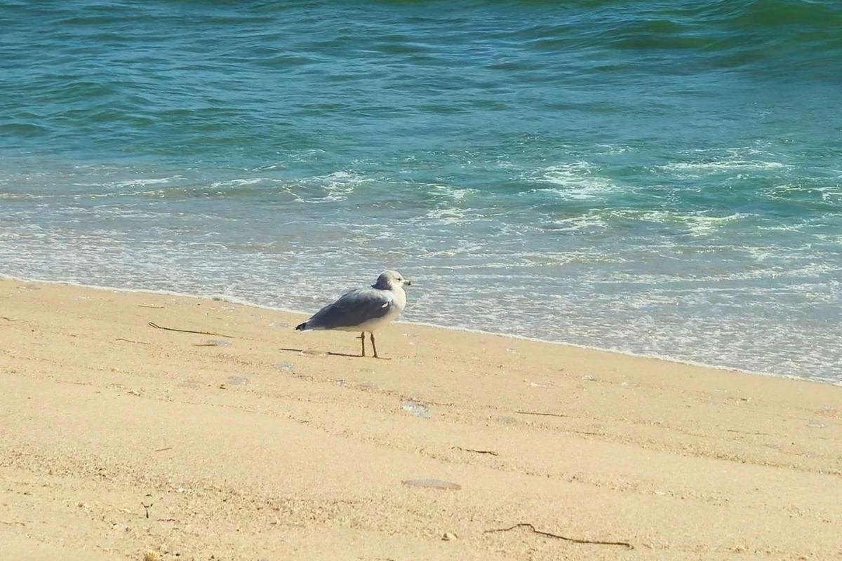 Jersey Shore Report for Sept. 16, 2026