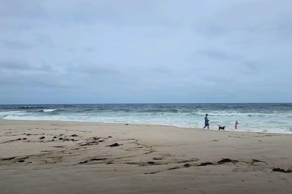 Jersey Shore Report for Sept. 3, 2026