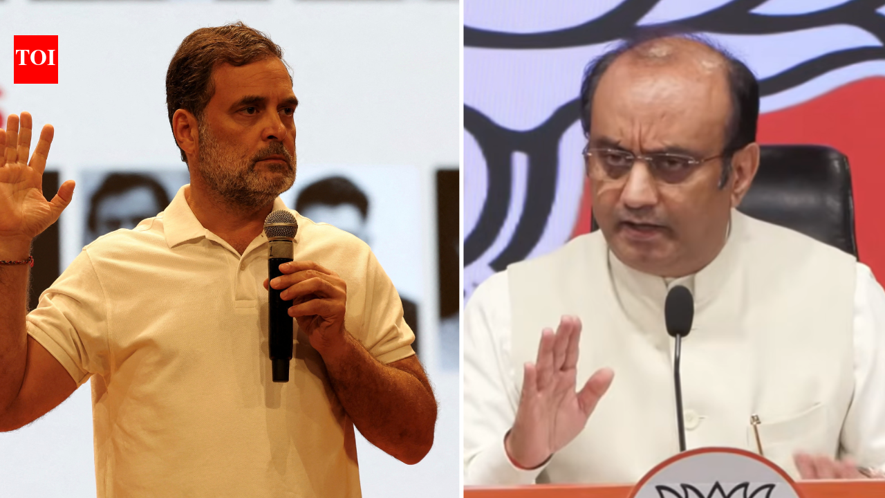 'Jhoot ki goonj by frustrated leader': BJP mocks Rahul Gandhi's presser on EC-SIR row | India News