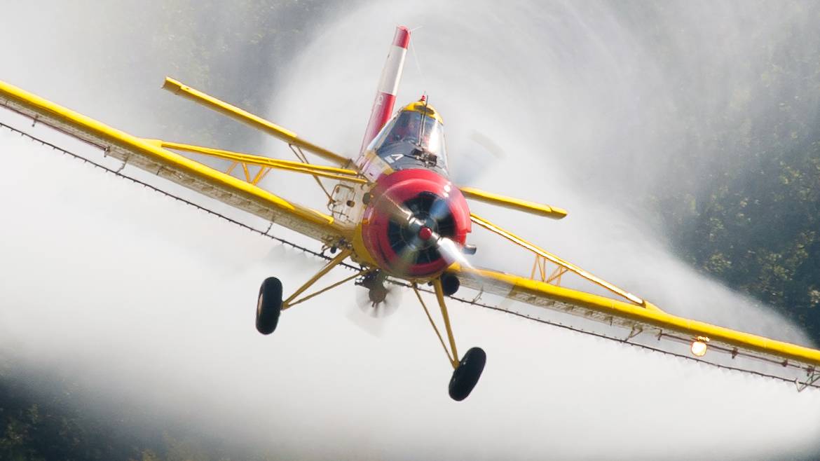 Judge suspends Colombia's aerial fumigation pilot